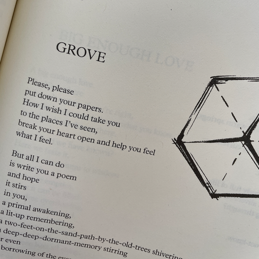 Growing Roots: Poems on reconnection with nature and ourselves by Mashael Fakhro