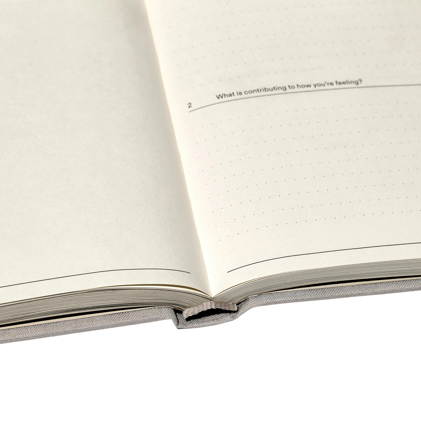 The Therapy Journal