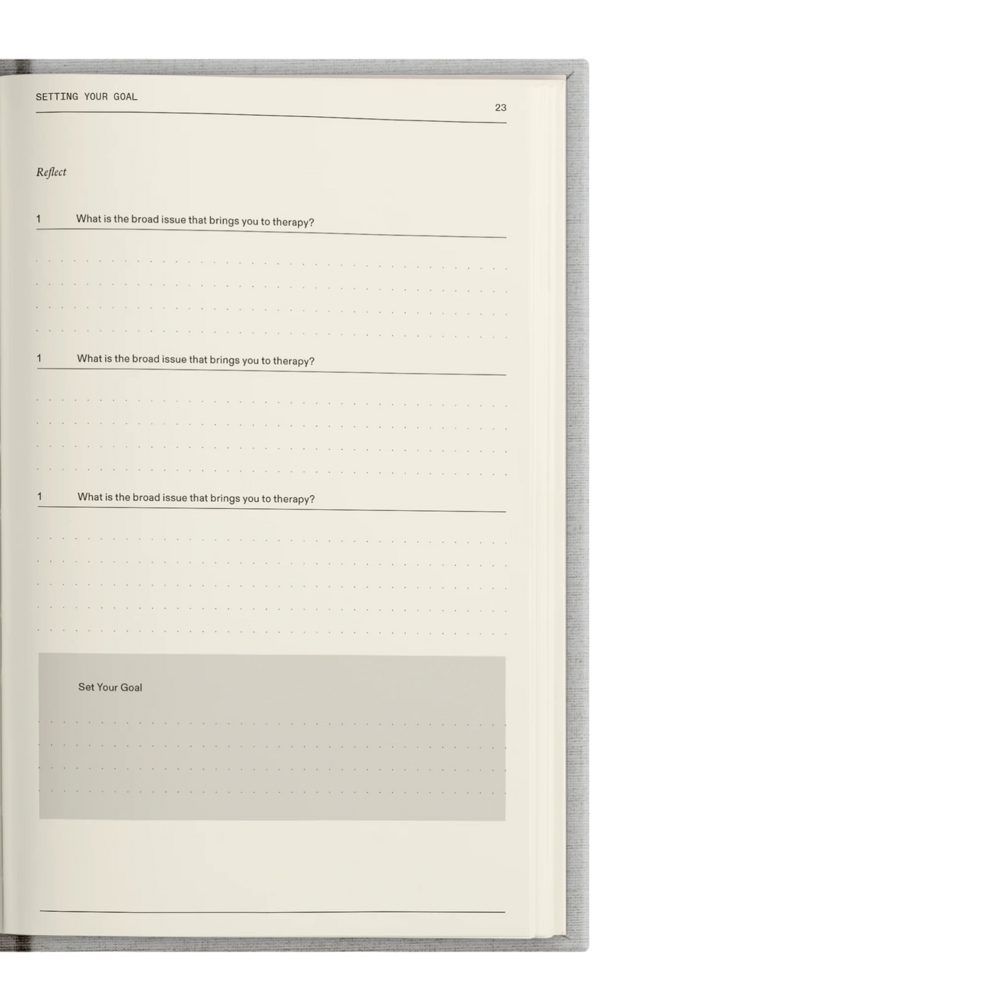 The Therapy Journal