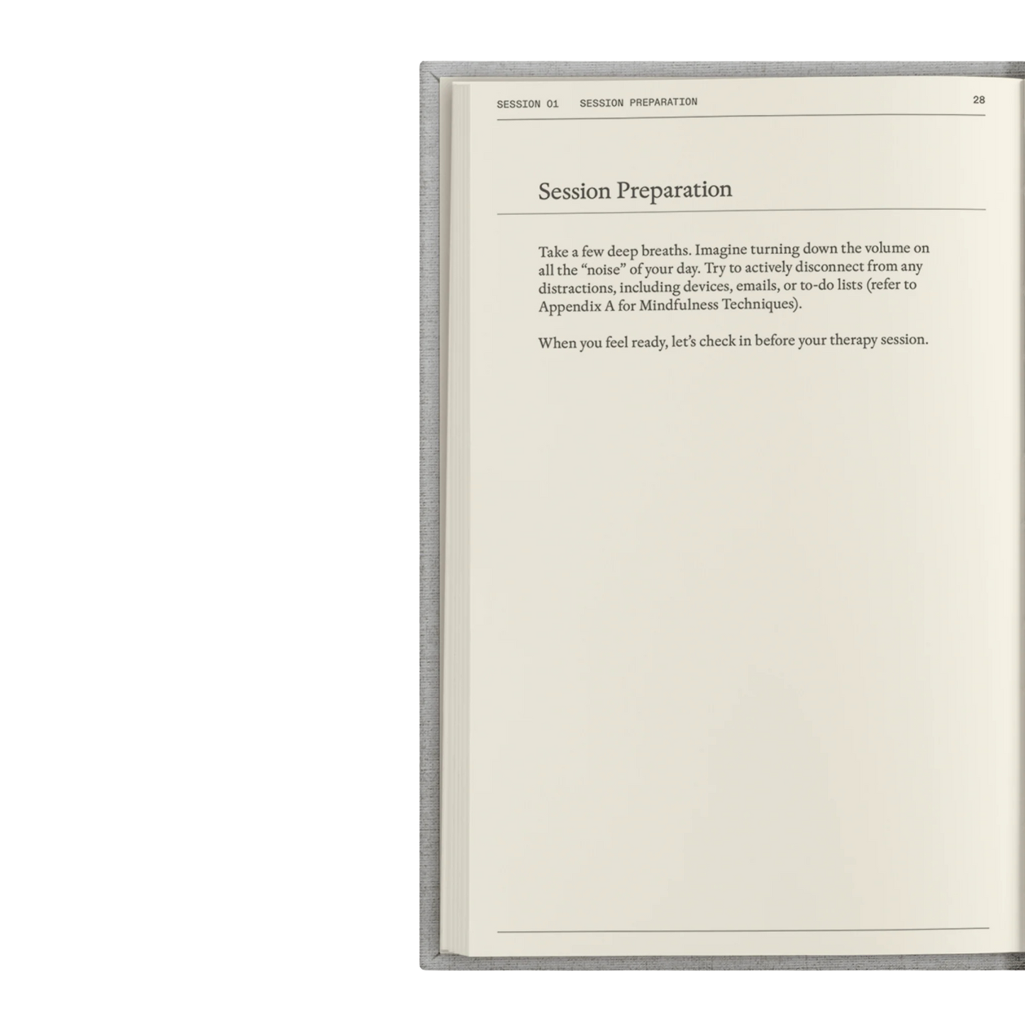 The Therapy Journal