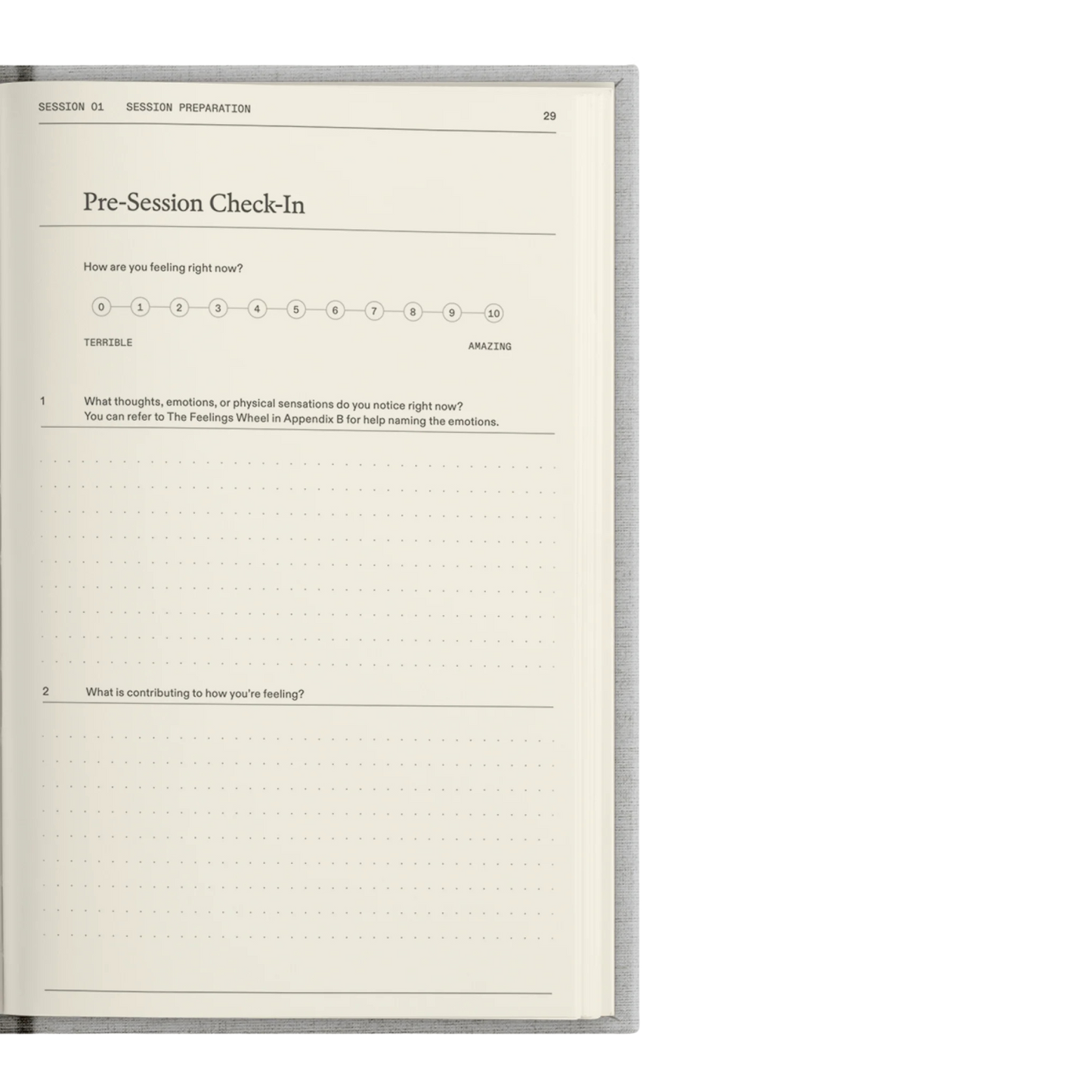 The Therapy Journal