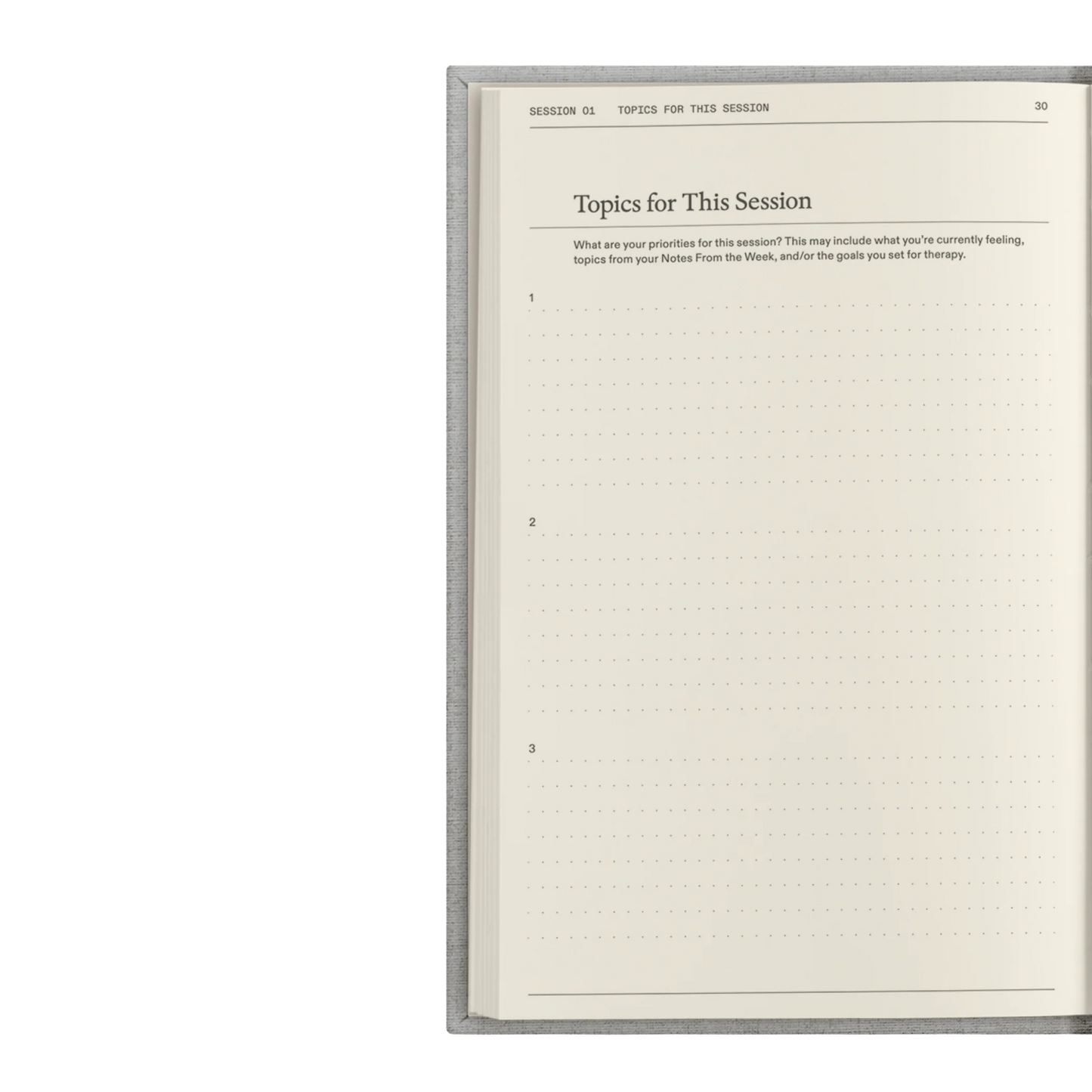 The Therapy Journal